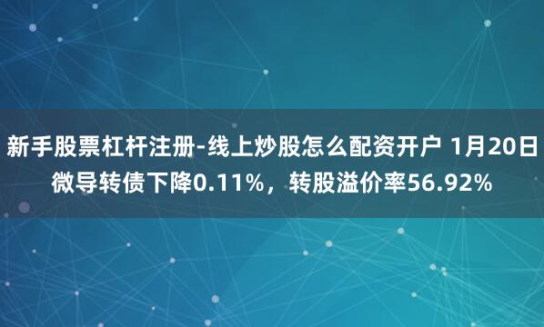 新手股票杠杆注册-线上炒股怎么配资开户 1月20日微导转债下降0.11%，转股溢价率56.92%